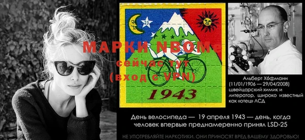 Альфа ПВП Весьегонск
