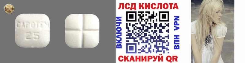 дарнет шоп  shop наркотические препараты  Лсд 25 экстази ecstasy  Багратионовск 