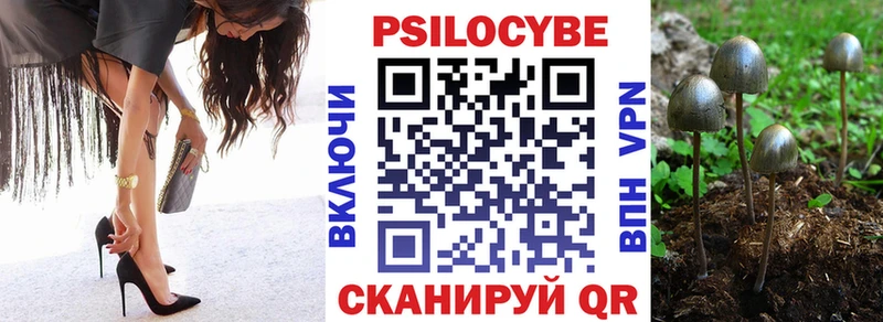 Галлюциногенные грибы Magic Shrooms дарк нет телеграм Багратионовск