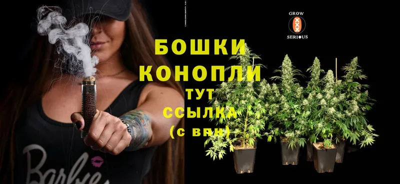 Канабис SATIVA & INDICA  как найти   Багратионовск 